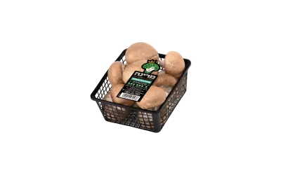 פטריות בייבי פורטבלה