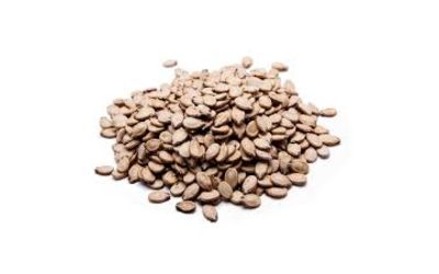 גרעיני אבטיח