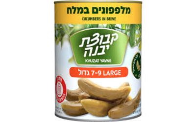 קבוצת יבנה מלפפונים גדולים במלח