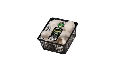 פיטריות שמפיניון טריות