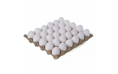 ביצים 30 יחידות L