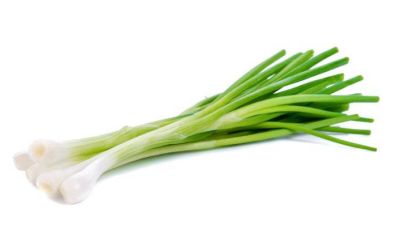 בצל ירוק גלאט