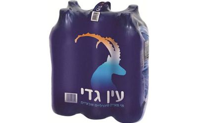 שישיה עין גדי