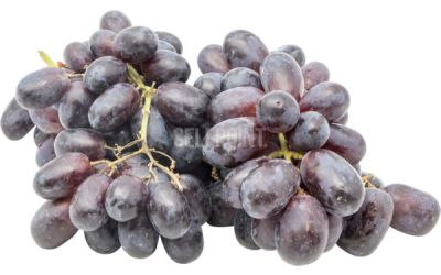 ענבים שחורים