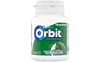 פרופשיונל מסטיק בטעם מנטה