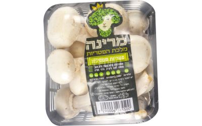 פטריות שמפיניון