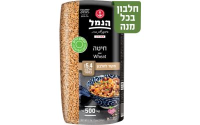 חיטה