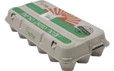 ביצים M - מחיר בפיקוח ממשלתי