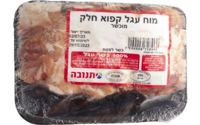 מוח עגל קפוא חלק מוכשר