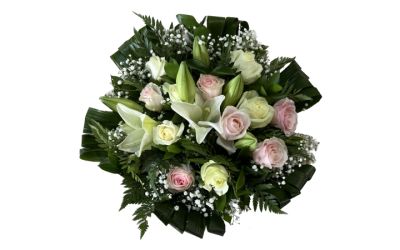 זר לבן בייבי