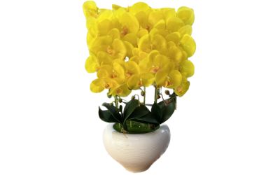 סחלב סינטטי צהוב