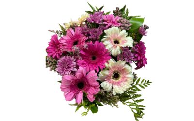 זר גרברות וחרציות