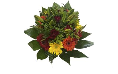 גרברות וליליות אדום כתום