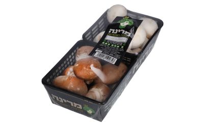 צמד איטלקי פטריות פורטובלה ופטריות שמפיניון