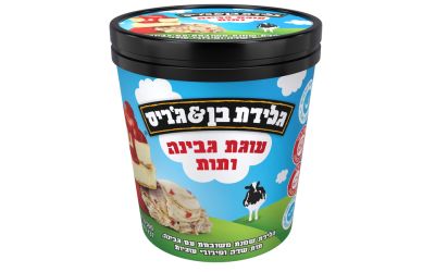 פיינט עוגת גבינה ותות גלידת שמנת משובחת עם גבינה תות שדה ופירורי עוגיות