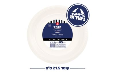 צלחות גדולות