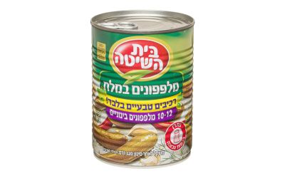 מלפפונים במלח בינוניים