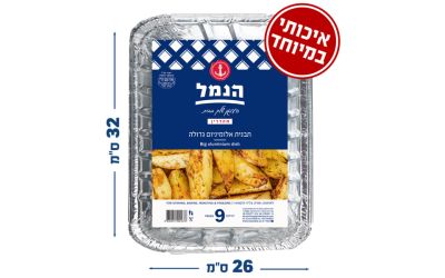 תבנית אלומיניום גדולה