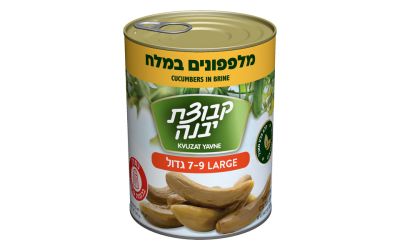 מלפפונים במלח גדול