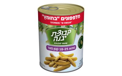 מלפפונים בחומץ קטן מאוד
