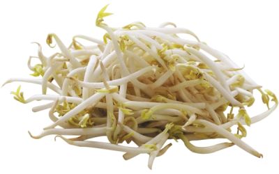 נבטים אלפלפא