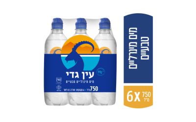 מים מינרליים טבעיים