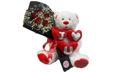 דובי מחזיק ורדים