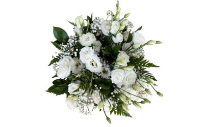 זר ליזיאנטוס לבן