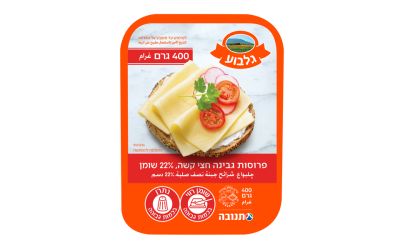 גלבוע פרוסות גבינה חצי קשה 22%