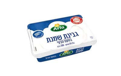 גבינת שמנת בטעם טבעי 24.5%