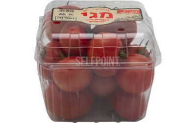 עגבניות מגי