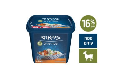 גבינת פטה כבשים 16%