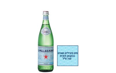 מים מינרליים טבעיים מוגזים