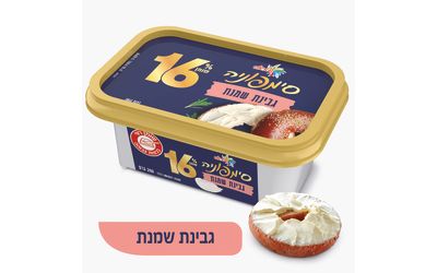 סימפוניה גבינת שמנת 16%