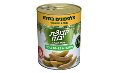 מלפפונים במלח בינוני