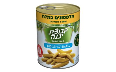 מלפפונים במלח קטן