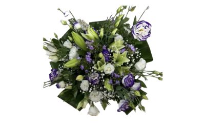 זר סגול מלכותי