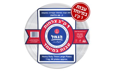 צלחות עבות במיוחד גדולות