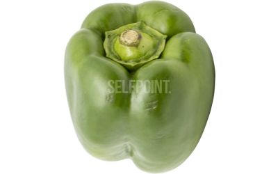 פלפל ירוק
