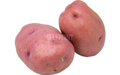 תפוח אדמה אדום