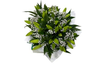 זר שושן צחור