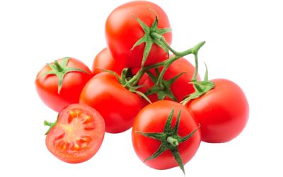 עגבניות שרי