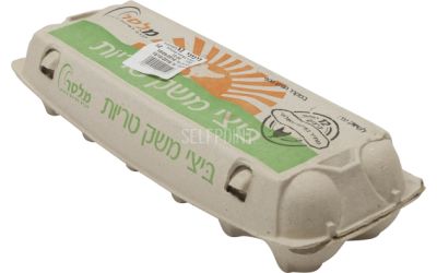 ביצי משק טריות M - מחיר בפיקוח ממשלתי