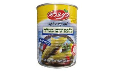 מלפפון חמוץ במלח