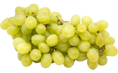 ענבים ירוקים