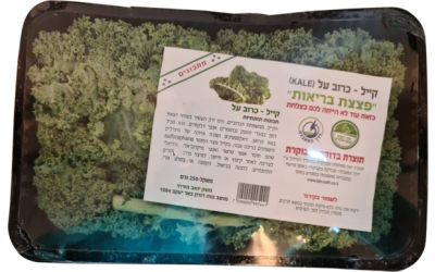 קייל כרוב על