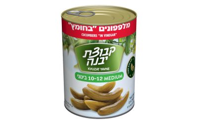 מלפפונים בחומץ בינוני