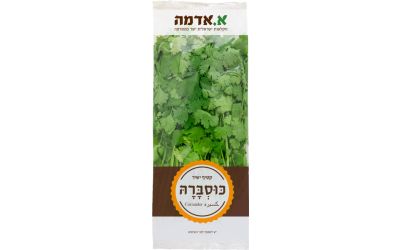 כוסברה ארוז