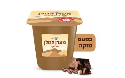 מעדן הגולן מעדן חלב בטעם מוקה