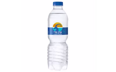 בקבוק מים עין גדי | 500 מ"ל